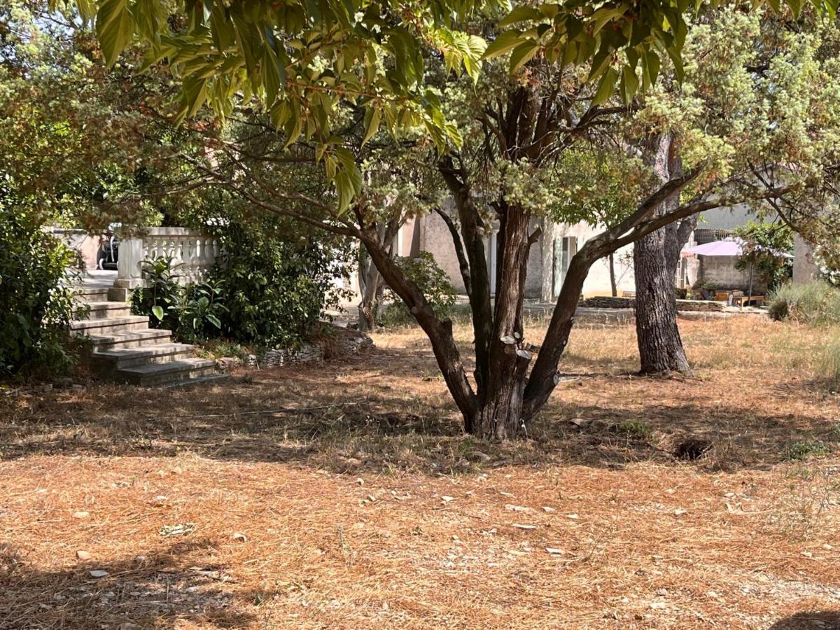 Maisonnette Independante Avec Jardin/Patio Ним Екстериор снимка